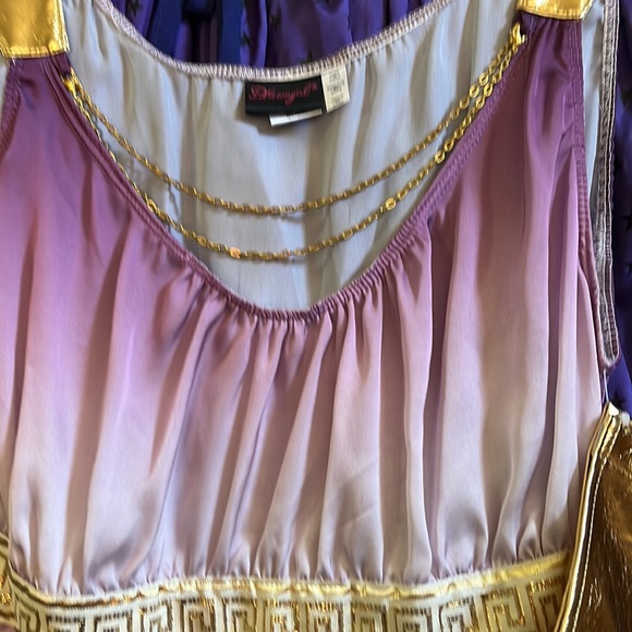 🎈🎈🎈SOLD🎈🎈🎈🎈🎈Gorgeous Greek goddess costume. Ombre purple - Picture 4 of 4